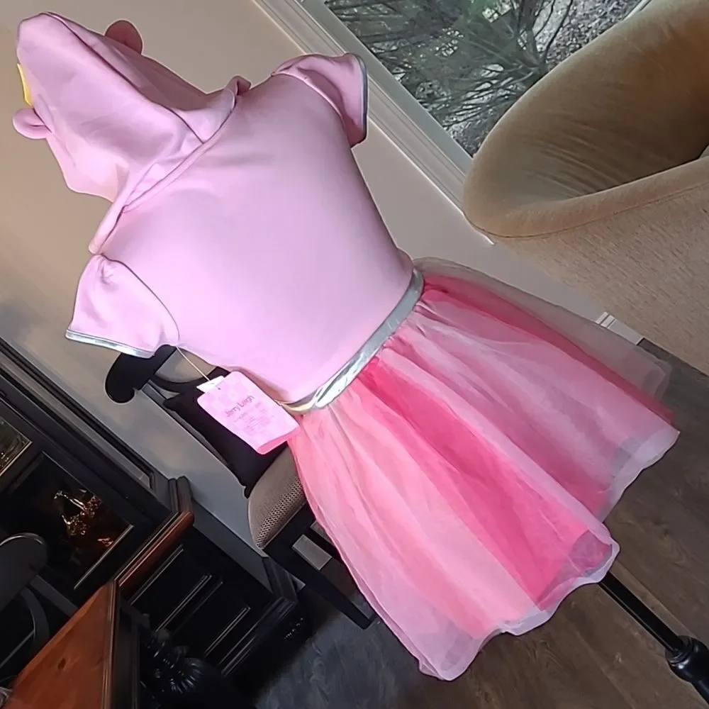 NWT Love Diana Pink Hooded Dress